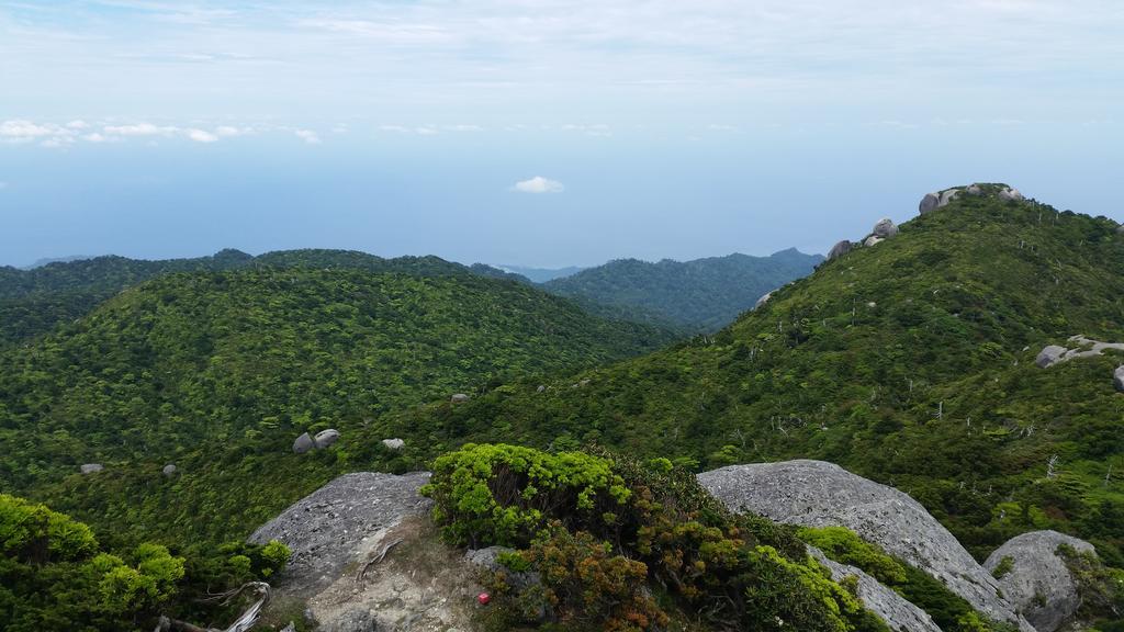 ホテル 民宿　やくしま家 屋久島町 エクステリア 写真