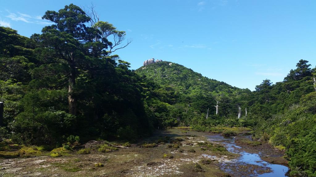 ホテル 民宿　やくしま家 屋久島町 エクステリア 写真