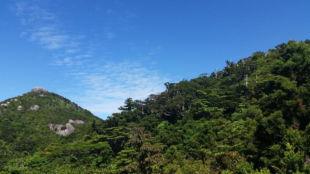 ホテル 民宿　やくしま家 屋久島町 エクステリア 写真